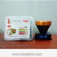 Đèn pin Đội Đầu 666 của hãng Kashsa